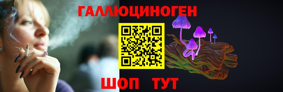 Галлюциногенные грибы Psilocybe  Вход с VPN  Каменск-Уральский 